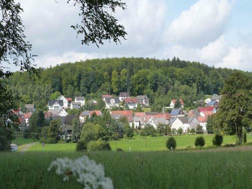 Ferienhaus Am G�nserasen