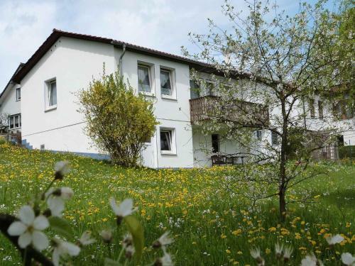 Ferienhaus Am G�nserasen