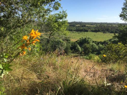 Agroturismo Equilibre Maule