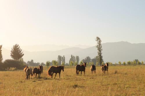 Agroturismo Equilibre Maule