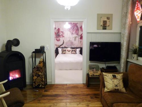 Apartamento Harzhaus Schneewittchen