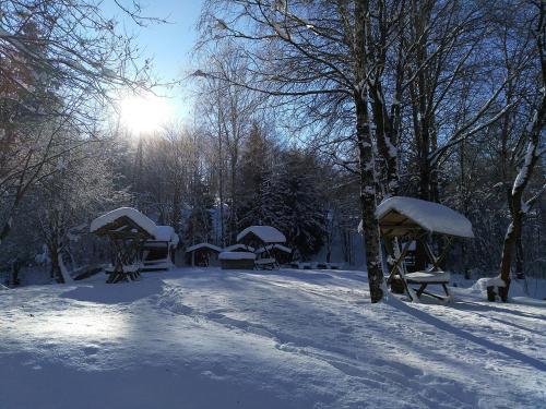 Apartamento Harzhaus Schneewittchen