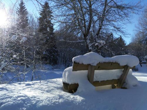 Apartamento Harzhaus Schneewittchen