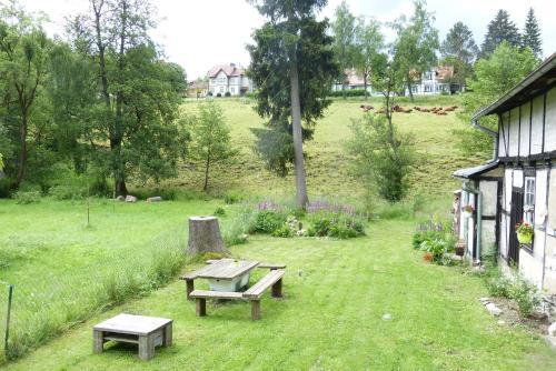 Apartamento Harzhaus Schneewittchen
