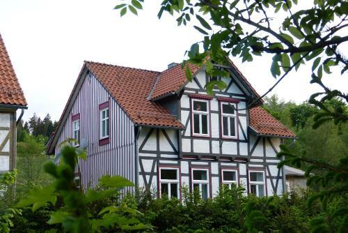 Apartamento Harzhaus Schneewittchen