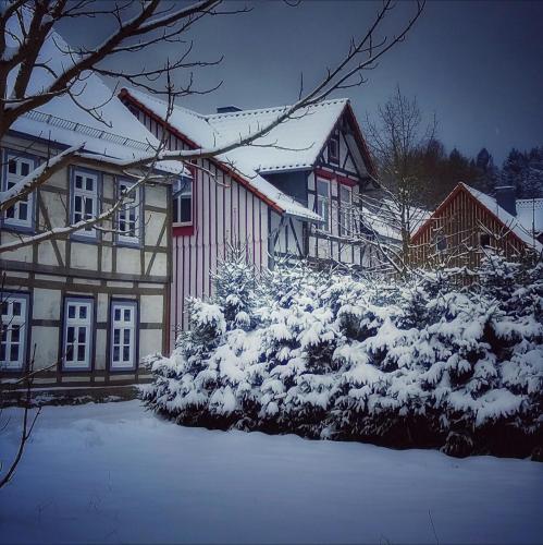 Apartamento Harzhaus Schneewittchen