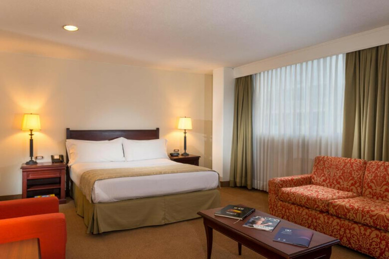 Hotel Dann Avenida 19