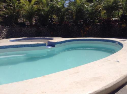 Bed & Breakfast La Jungla