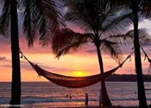 Bed & Breakfast La Jungla