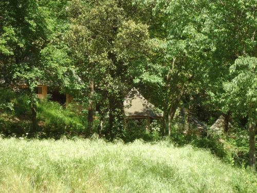 Hotel Prehistoric Lodge