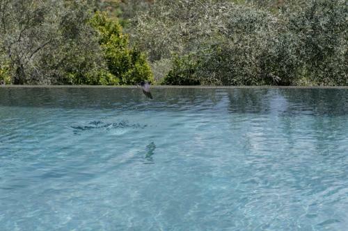 Agroturismo Opora Country Living