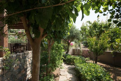 Sea Breeze Villa
