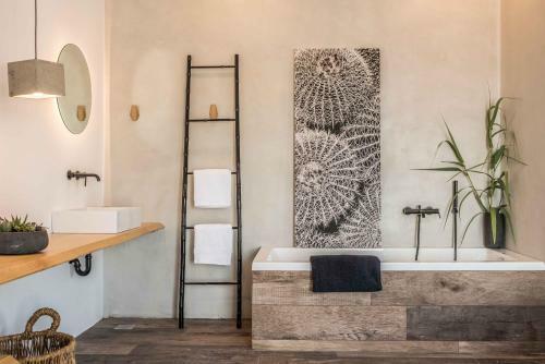 Apartamento Black Cactus