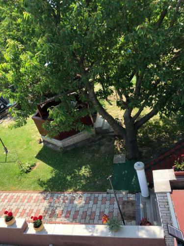 Major Csal�d Apartman