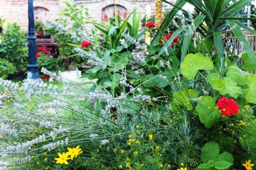 Apartamentos Villa Panor�ma