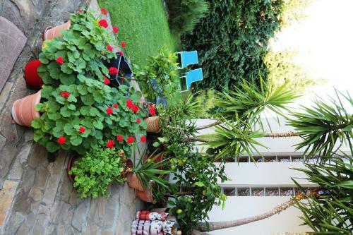 Apartamentos Villa Panor�ma