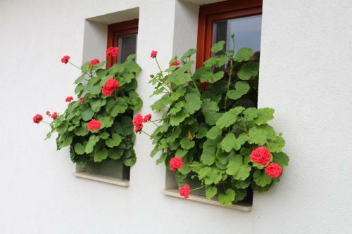 Apartamentos Villa Panor�ma