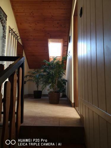 Apartamento Ibolya Vend�gh�z