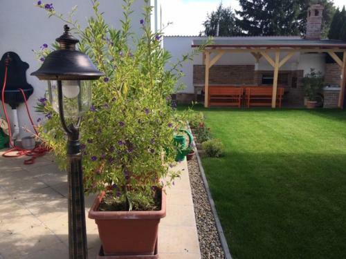 Hostal Csigah�z Panzi�