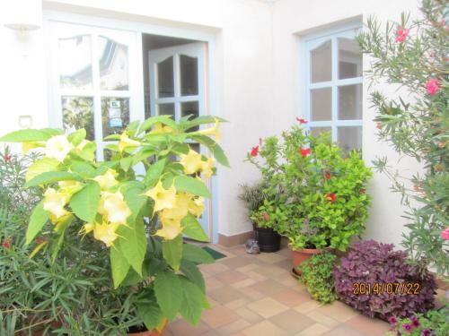 Hostal Csigah�z Panzi�