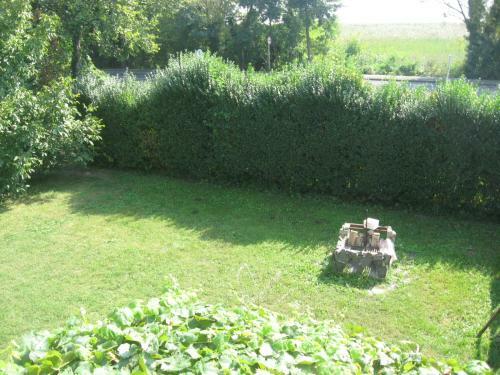 Badacsonyi Lugas Apartmanok