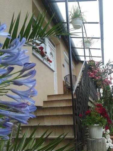 Hostal Marika Haus