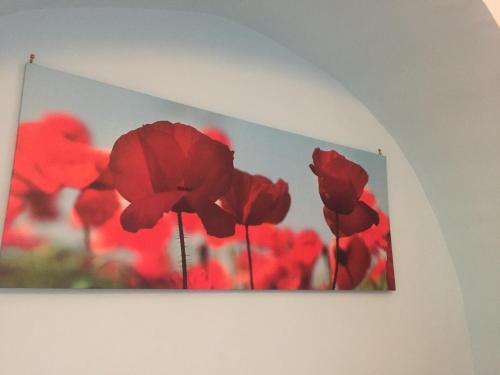 Bed & Breakfast La Rosa Blu 2