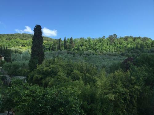 Villa Nobili B&B