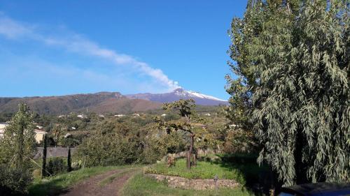 Alberto's Mt.etna B&B