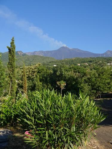 Alberto's Mt.etna B&B