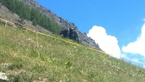 Agroturismo La Ferme Du Grand Paradis
