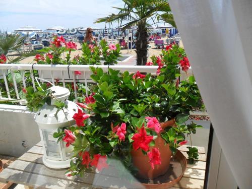 Hotel Telenia