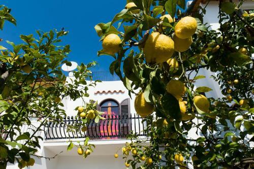 La Limonaia