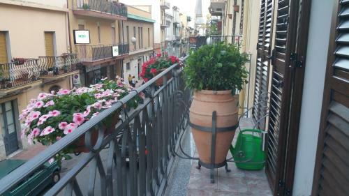 Bed & Breakfast Selenebeach Affittacamere