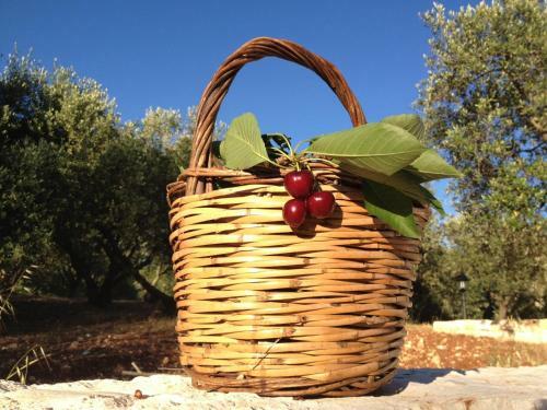 Trulli La Ginestra