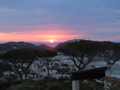 Bed & Breakfast Villa Erade