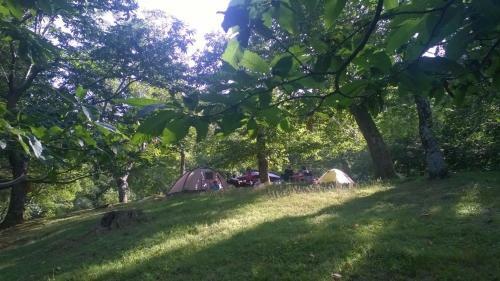 Camping Camaldoli