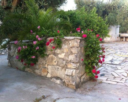 Azienda Agricola B&B Macchiaria