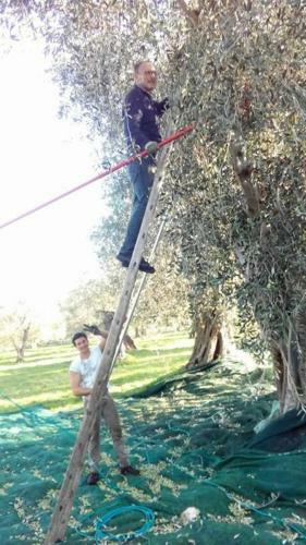 Azienda Agricola B&B Macchiaria
