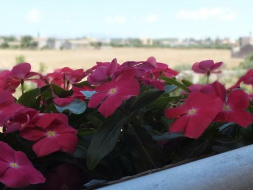 B&B Siciliantica