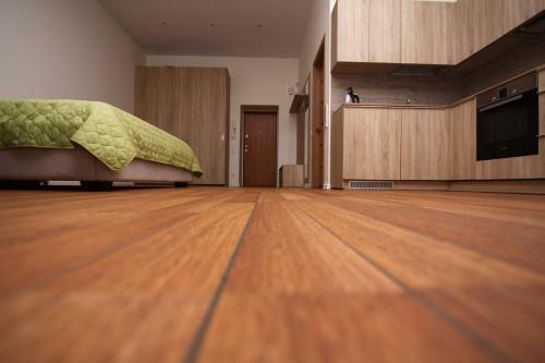 Apartamento Palanga Central Square Studio
