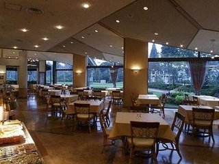 Hotel Nikko Narita