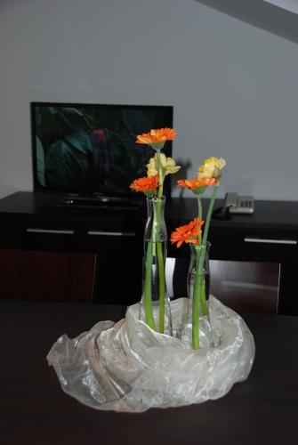 Aparthotel Pichler