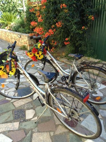 Podere Bellarina B&B