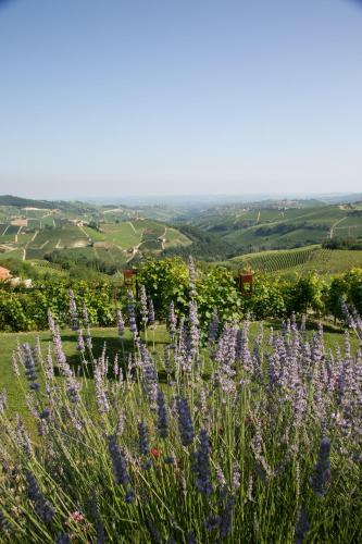 Agroturismo Agriturismo La Torricella