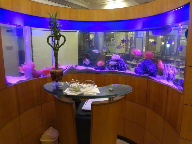 Hotel Tunga International