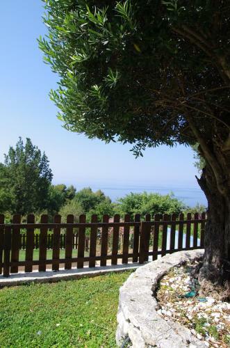 Bed And Breakfast Nefer