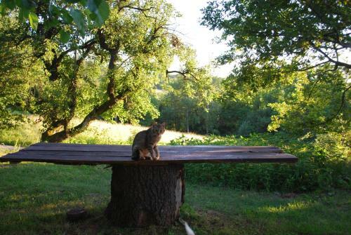 Agroturismo Bed & Breakfast Cascina Cin Cin