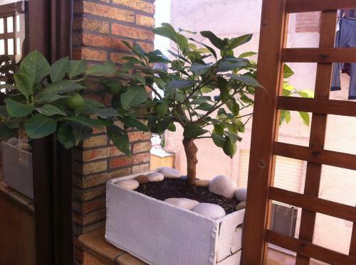 Bed & Breakfast Guest House La Corte Normanna