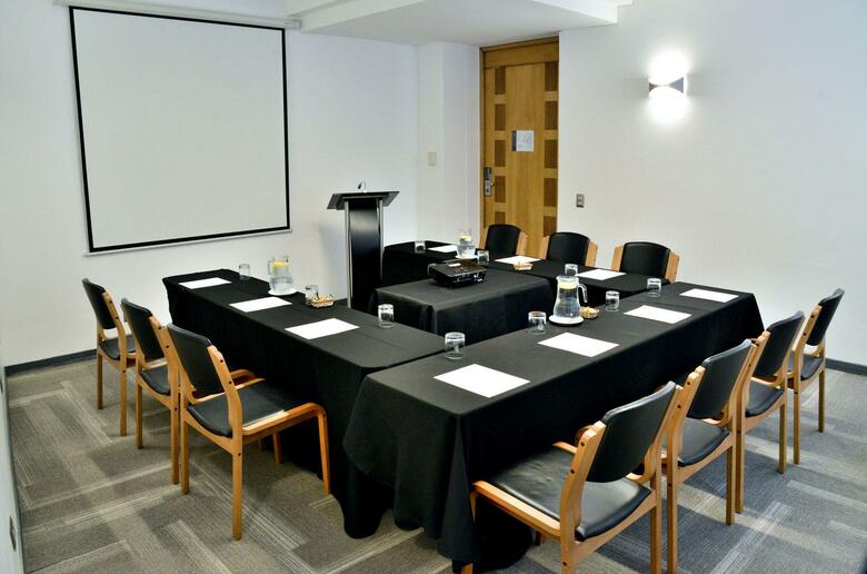 Panamericana Hotel Providencia